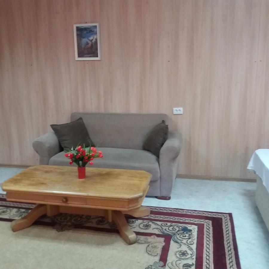 Hostel Anna Borjomi Ngoại thất bức ảnh